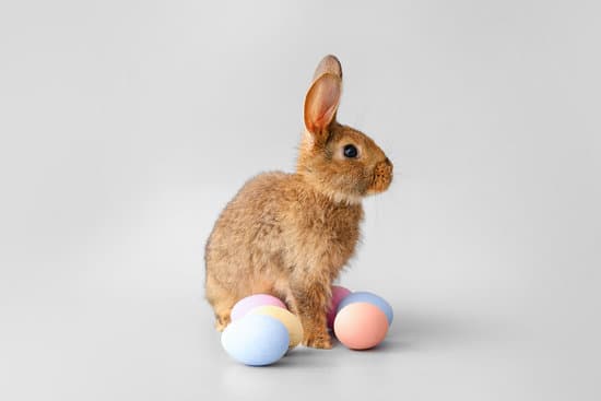 canva cute rabbit and easter eggs on grey background MAEWeclEeD8