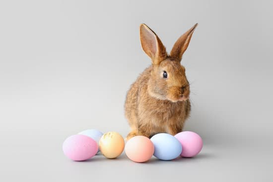 canva cute rabbit and easter eggs on grey background MAEWeeNJMQI