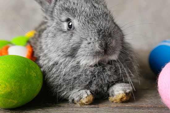 canva cute rabbit and easter eggs on table closeup MAEWeWcnU4M