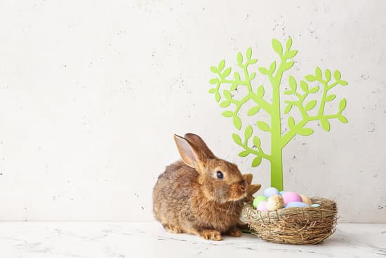 canva cute rabbit decor and easter eggs on light background MAEWebjGQEM