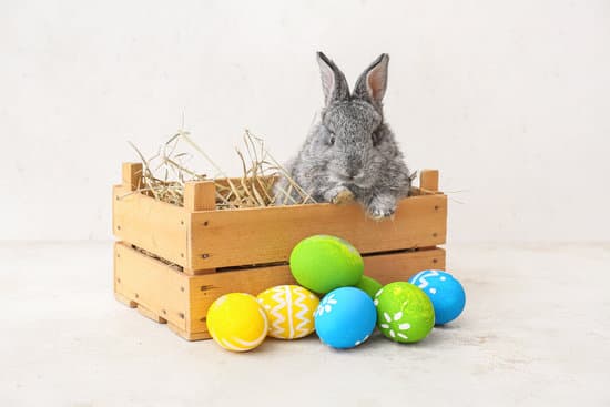 canva cute rabbit in box and easter eggs on light background MAEWeSId2hM