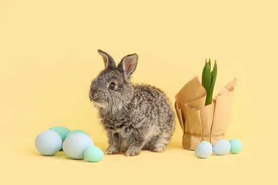 canva cute rabbit spring plant and easter eggs on color background MAEWeUzW0eI