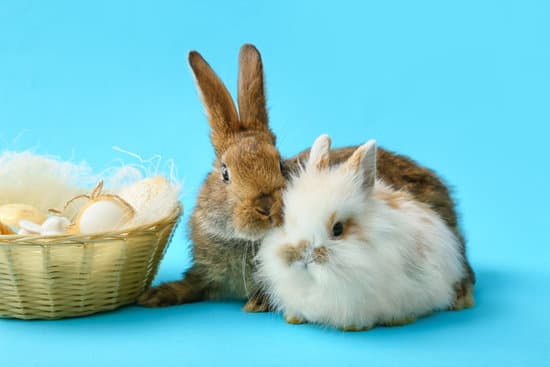 canva cute rabbits and basket with easter eggs on color background MAEWeZvl0hM
