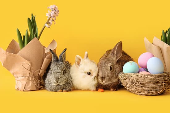 canva cute rabbits and easter eggs on color background MAEWeeduVb0