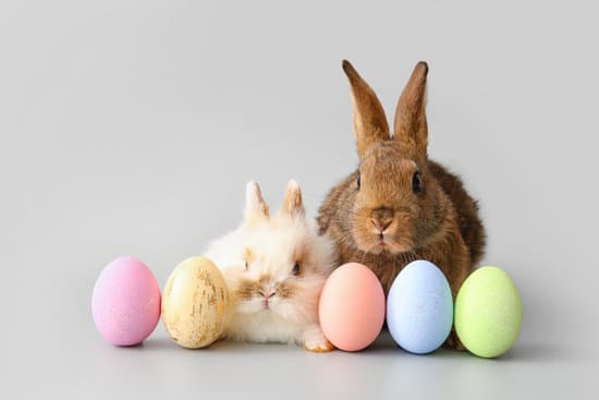 canva cute rabbits and easter eggs on grey background MAEWedB7c5E