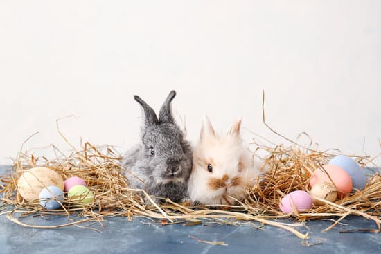 canva cute rabbits and easter eggs on table against light background MAEWeUu3TKQ