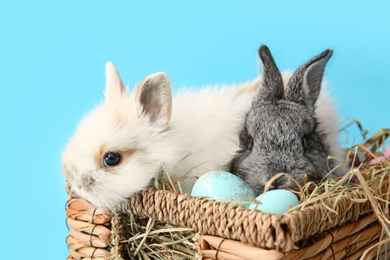 canva cute rabbits in wicker box with easter eggs on color background MAEWeYgEMTU