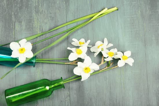 canva daffodils in vases MAD MfytOUc