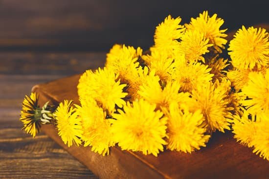 canva dandelion flowers on wooden table MAD8BXLJ3vM