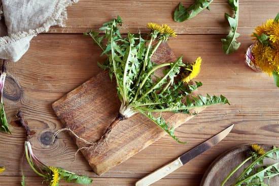 canva dandelion plant on a wooden table MAEkDBzbCJA