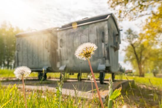 canva dandelions growing next to garbage containers MAD tnk2utQ