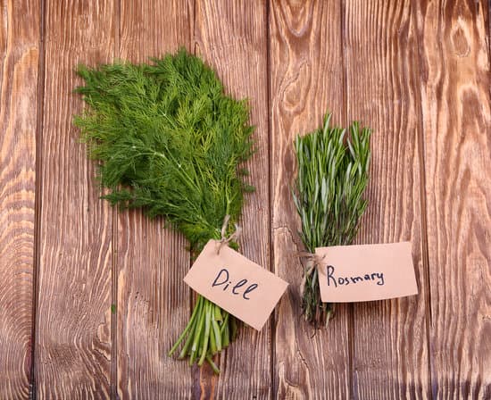 canva different fresh herbs on wooden background