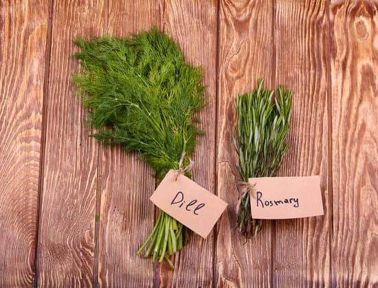 canva different fresh herbs on wooden background MAEPR1sucGE