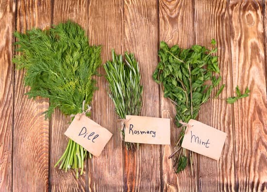 canva different fresh herbs on wooden background MAEPR4pJBEY