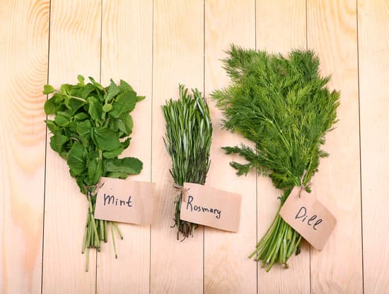 canva different fresh herbs on wooden background MAEPR6c91Jo