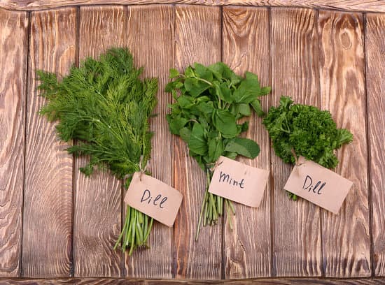 canva different fresh herbs on wooden background MAEPR9