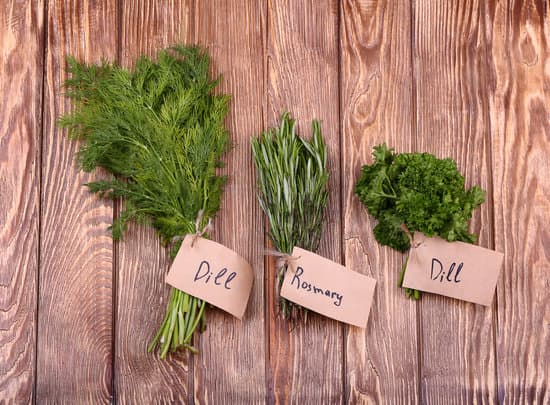 canva different fresh herbs on wooden background MAEPR9Xqe9A