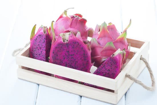 canva dragon fruit MADA2TL02o8