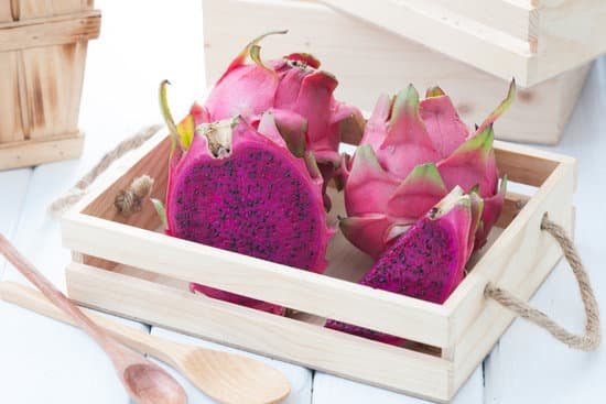 canva dragon fruit MADA2Tz5NKQ