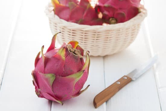 canva dragon fruit MADA2UhZcuo