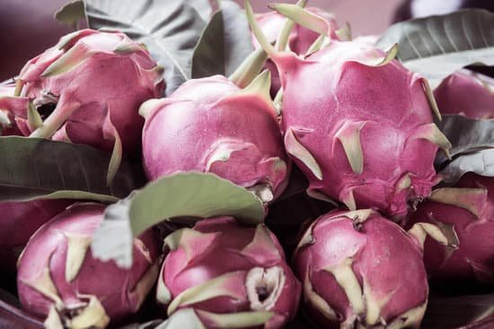 canva dragon fruit MADAyhnVVkI