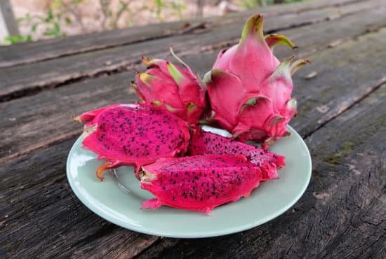 canva dragon fruit MADCYRpuwLo