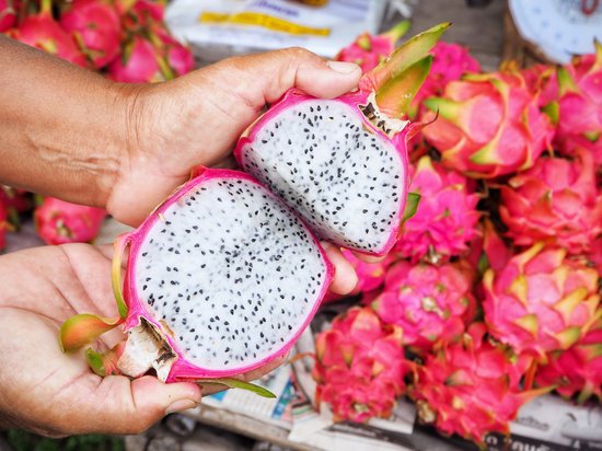 canva dragon fruit MADF4J619S4