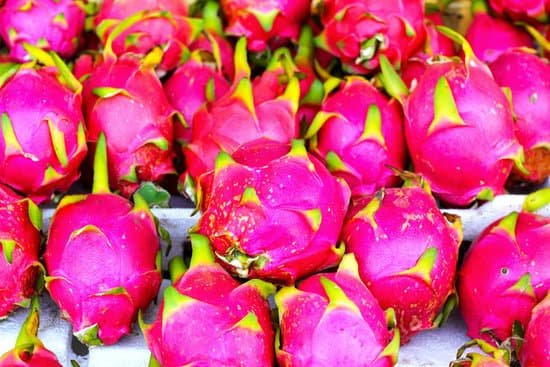 canva dragon fruit. MADBQukBfKQ