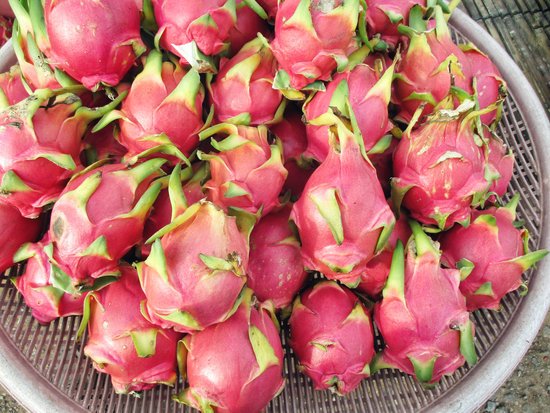 canva dragon fruits MADF6 Ajchc