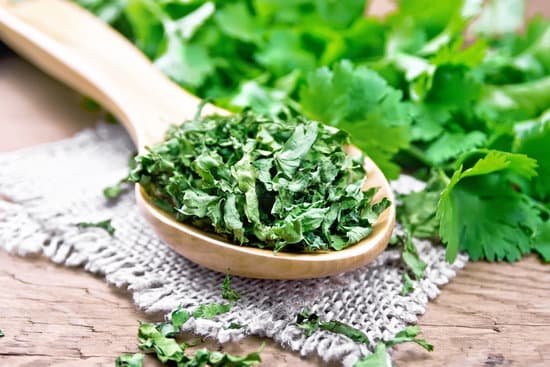 canva dried cilantro in a spoon MAEDEEABp10