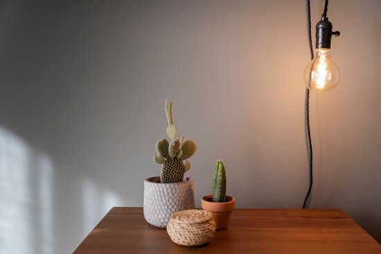 canva drop light and cactus plants on wooden table MAD T732 XY