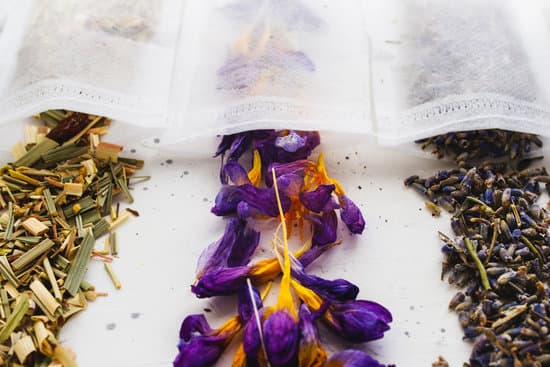 canva dry tea in filter teabag sachet on bright background. organic crocus flowers lavender lemongrass closeup. MAEhAirXdKc
