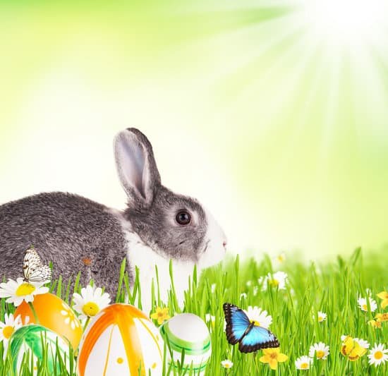 canva easter rabbit in grass MADCXWQdKbY