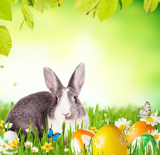 canva easter rabbit in grass MADCXbvXMB0