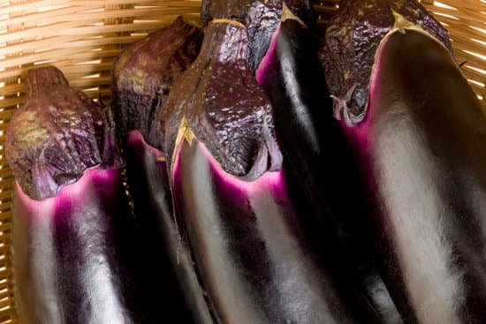 canva eggplant MAC BhN7zWY