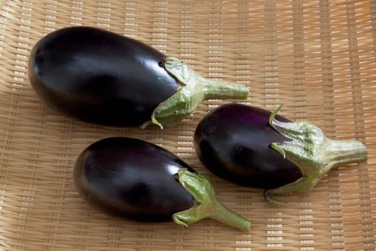 canva eggplant MAC GH1dErk