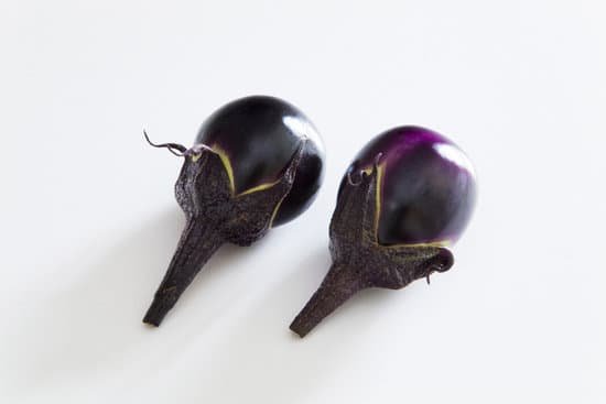 canva eggplant MAC GONO3d0