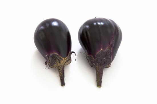 canva eggplant MAC Ga2WKWc