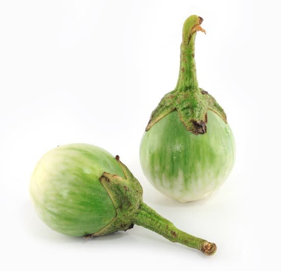 canva eggplant MAC8dynednc