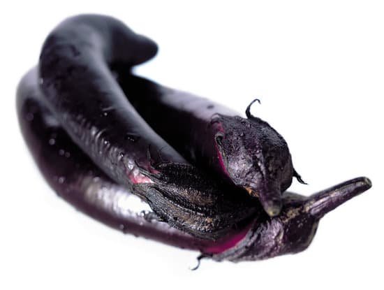 canva eggplant MAC9rrDY0CI