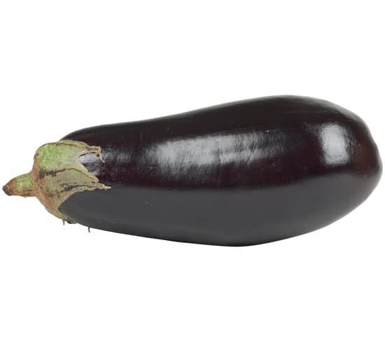 canva eggplant MAC9spslHB8