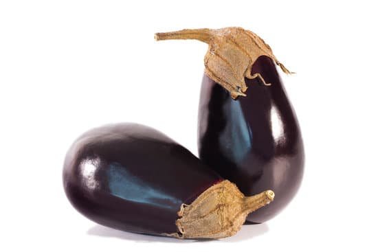 canva eggplant MADAoeZLio0