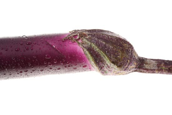 canva eggplant MADBRe2smFg