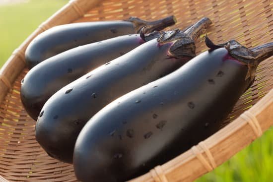 canva eggplant