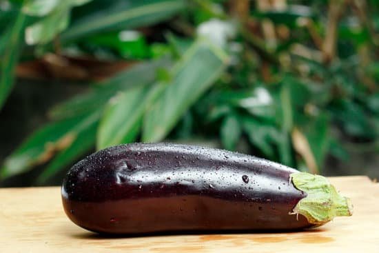 canva eggplant MADBksejRFc