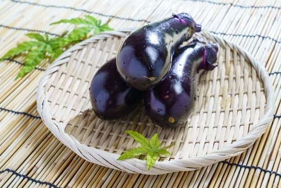 canva eggplant MADCqpzv Kw