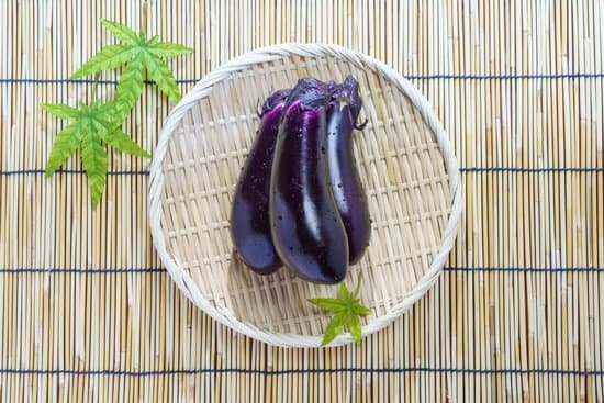 canva eggplant MADCqrqOw6s