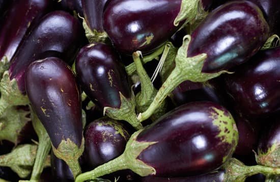 canva eggplant MADm2h60ci4