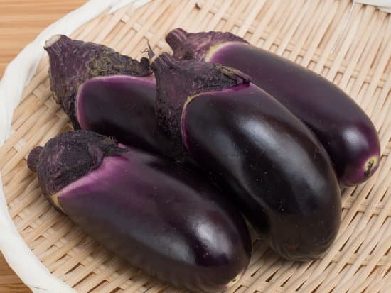 canva eggplant MADqH9m4z4c