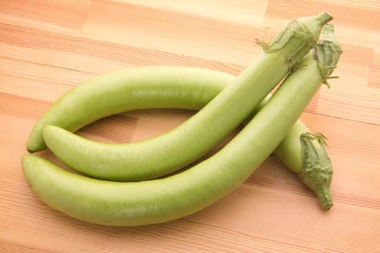 canva eggplant MADscluupb4